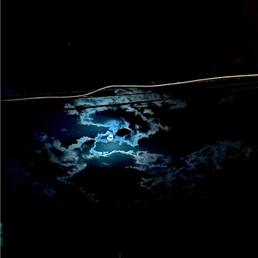 Meet your Posher, Kristen